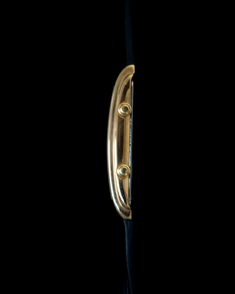 Alba Vient Dualtime Traveller Watch