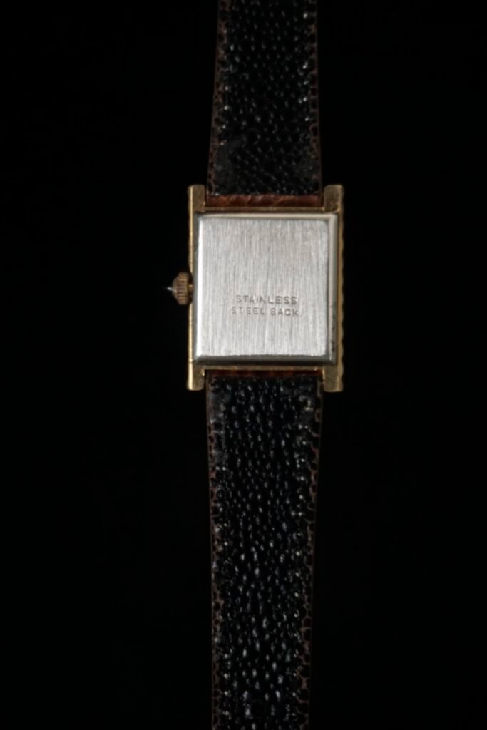 Supreme Tank Watch